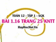Bài 1.16 SGK Toán 12 tập 1 Kết nối tri thức